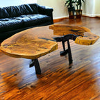 Exotic African Live Edge Brown Ivory Coffee Table (52" x 34")