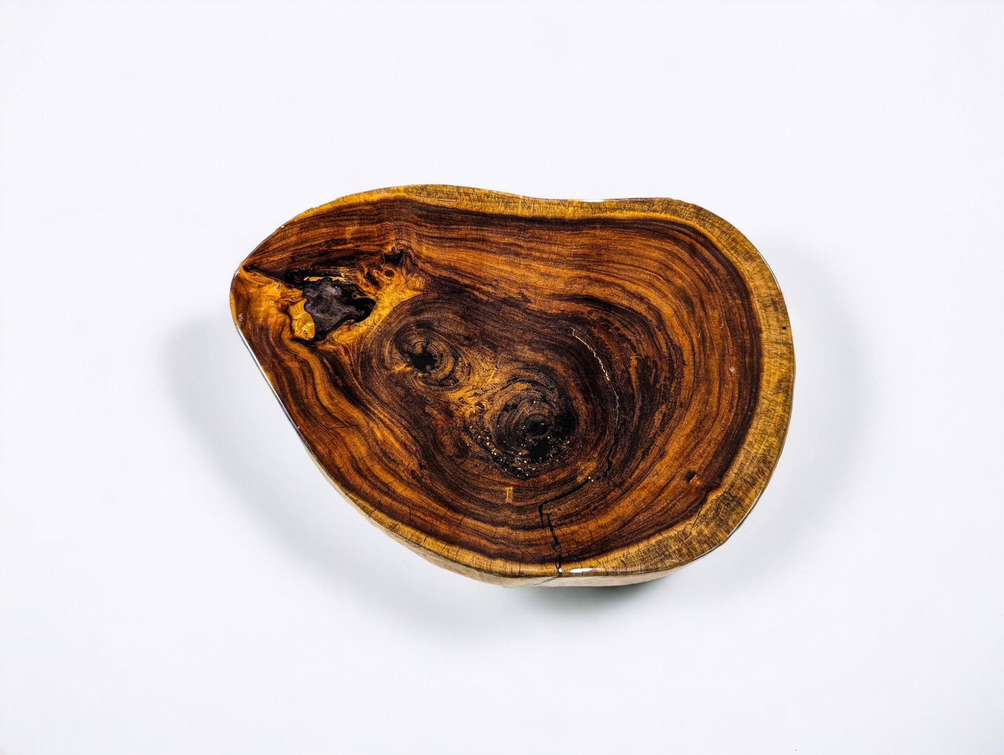 Exotic African Sandkiaat Live Edge Coffee Table | End Table (25" x 18")
