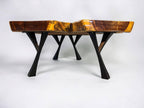 African Live Edge "Y" Shaped Sandkiaat Coffee Table (W37" x L46.5")