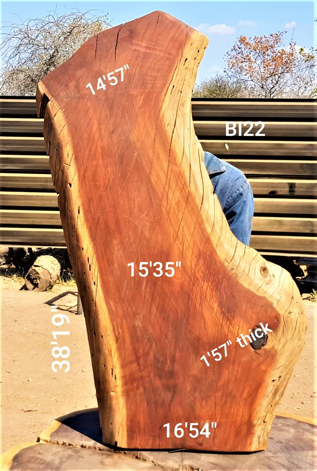Brown Ivory Slab (38.19" x 16.54" x 1.57")