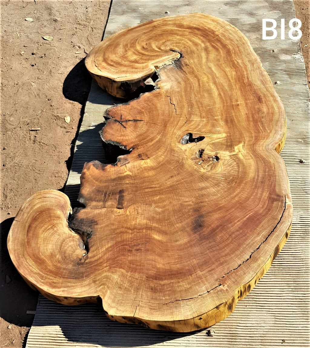 Brown Ivory Slice (62.99" x 27.17" x 3.15")