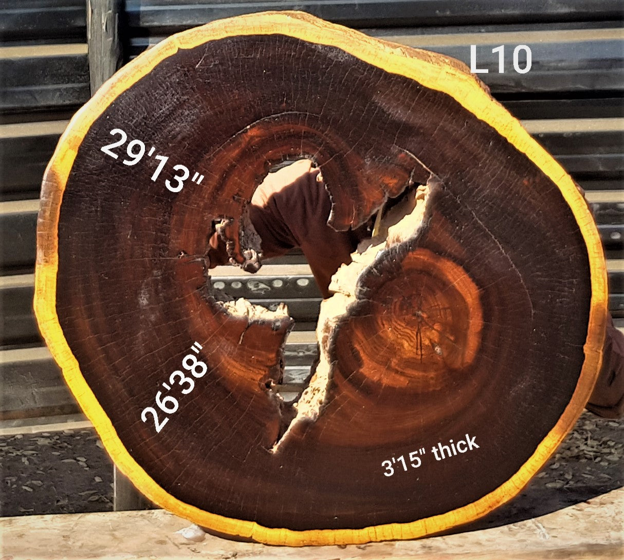 Leadwood Slice (29.13" x 26.38" x 3.15")
