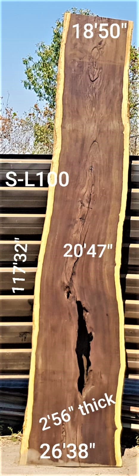 Leadwood Slab (117.32" x 26.38" x 2.56")