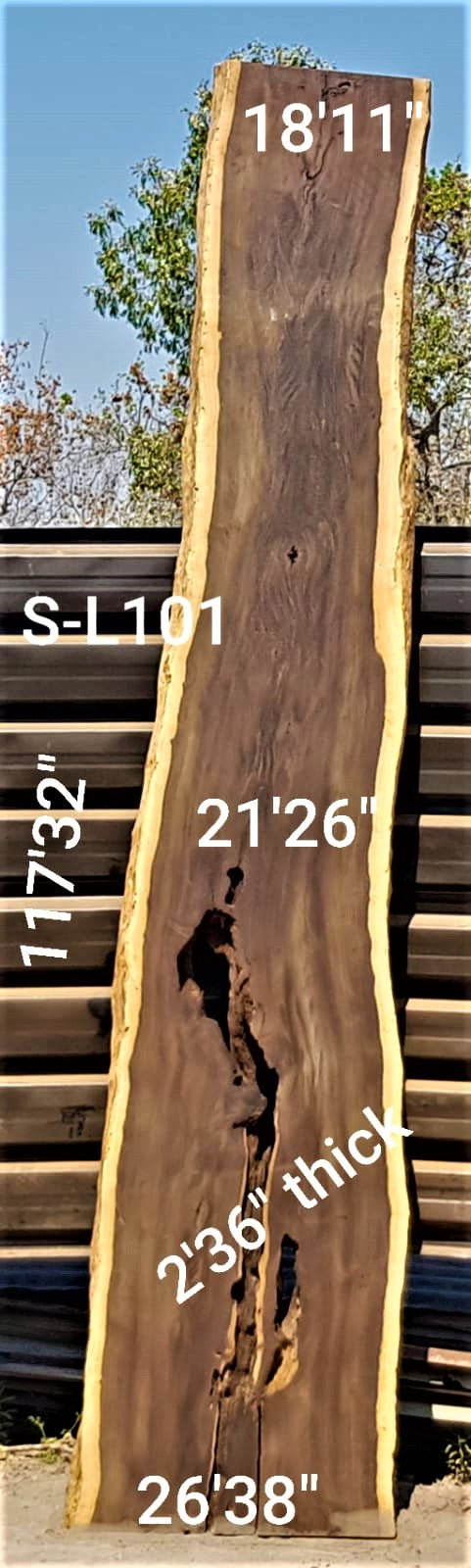 Leadwood Slab (117.32" x 26.38" x 2.36")