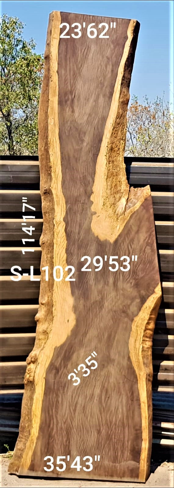 Leadwood Slab (114.17" x 35.43" x 3.35")