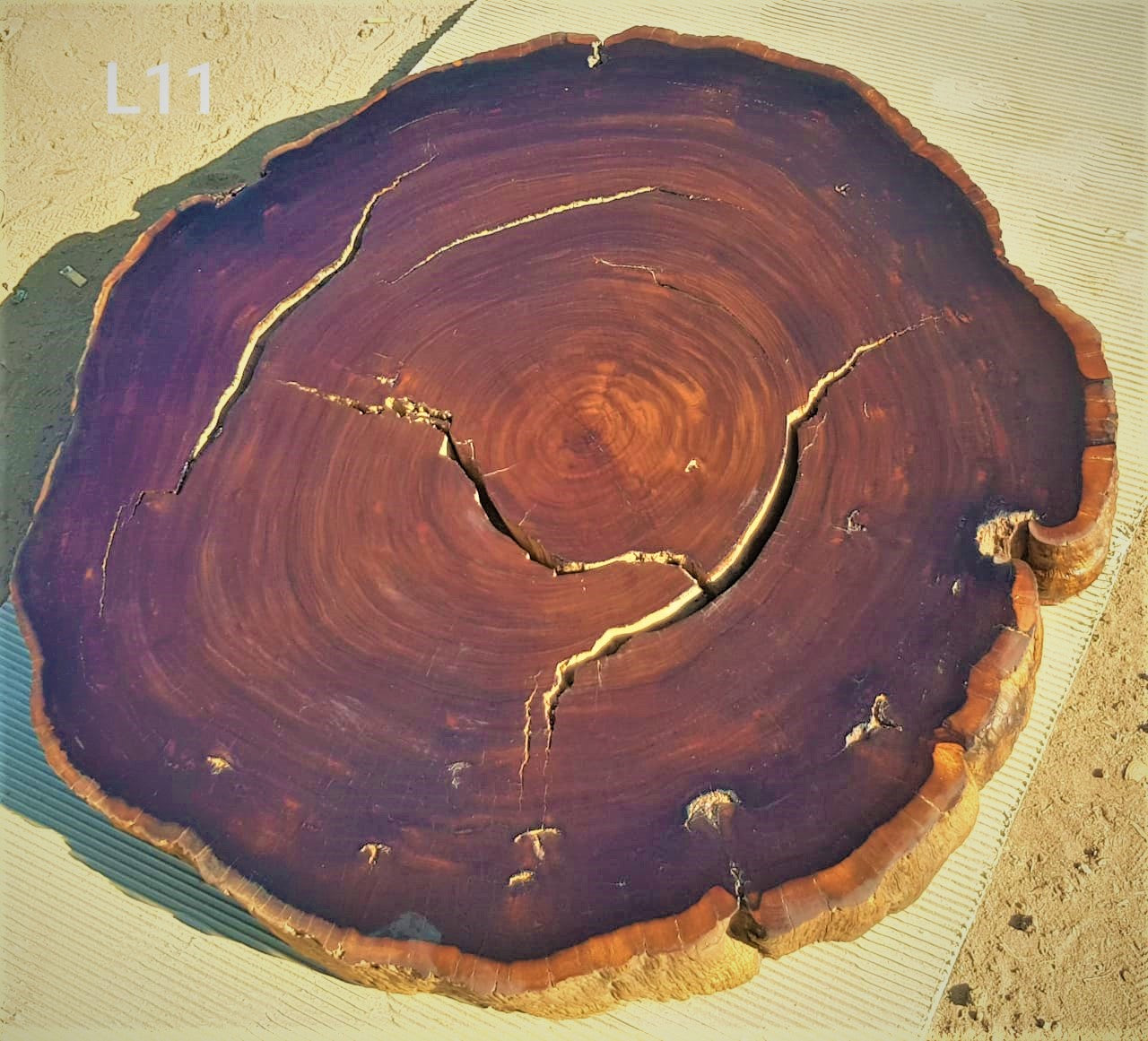 Leadwood Slice (38.19" x 38.19" x 3.15")