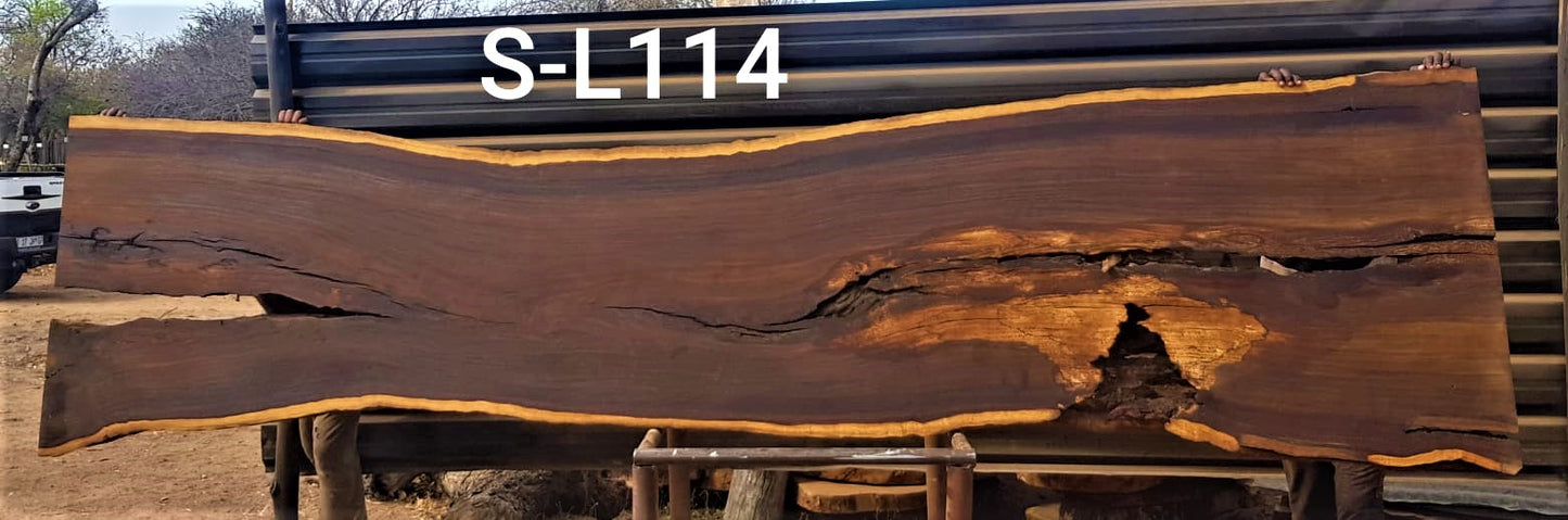 Leadwood Slab (145.67" x 37.40" x  2.36")