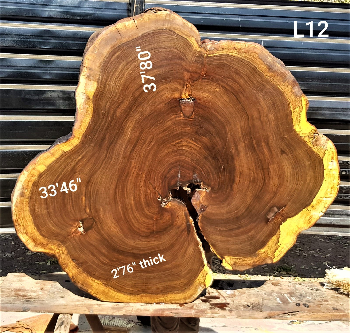 Leadwood Slice (37.80" x 33.46" x 2.76")