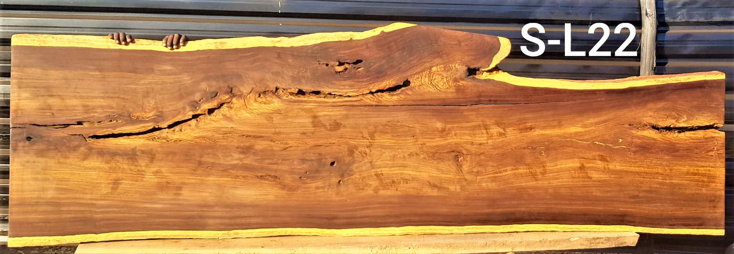 Leadwood Slab (107.48" x 31.50" x 2.36")