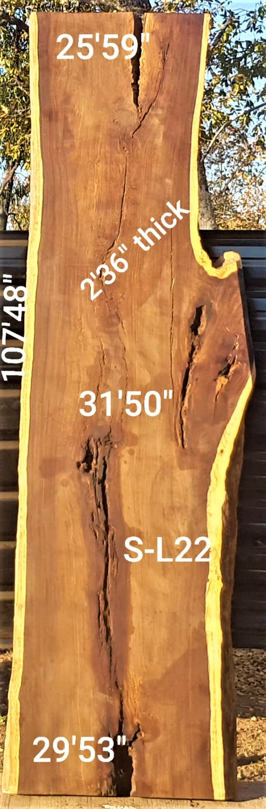 Leadwood Slab (107.48" x 31.50" x 2.36")