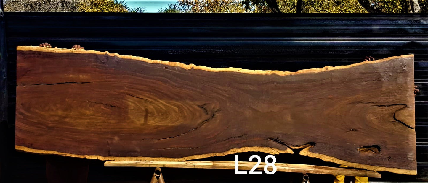 Leadwood Slab (112.20" x 34.25" x 2.36")