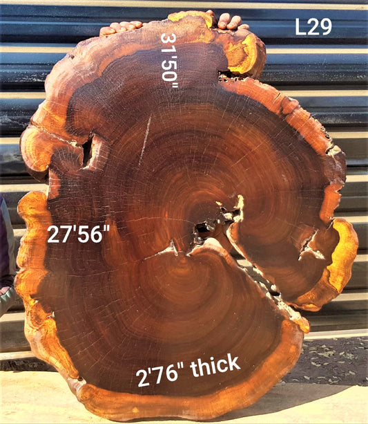 Leadwood Slice (31.50" x 27.56" x 2.76")