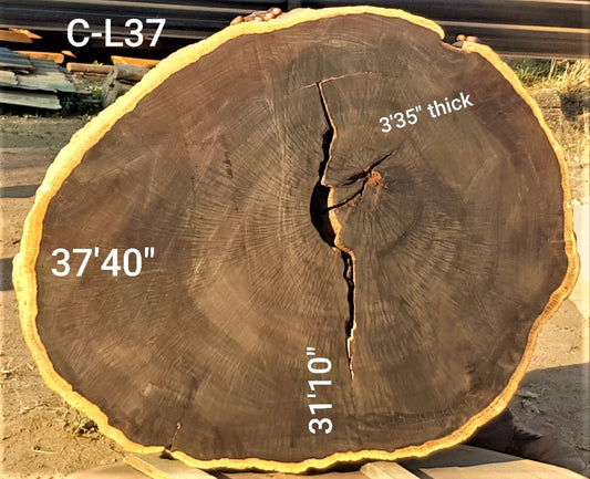 Leadwood Slice (37.40" x 31.10" x 3.15")