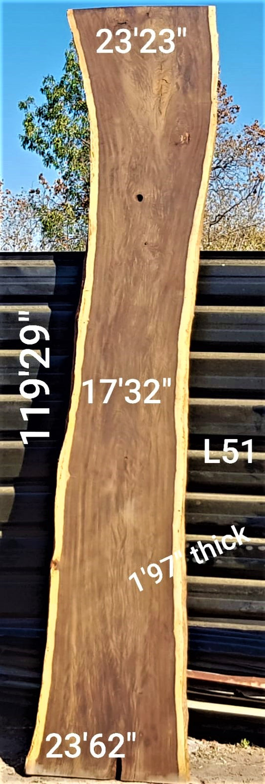 Leadwood Slab (119.29" x 23.62" x 1.97")