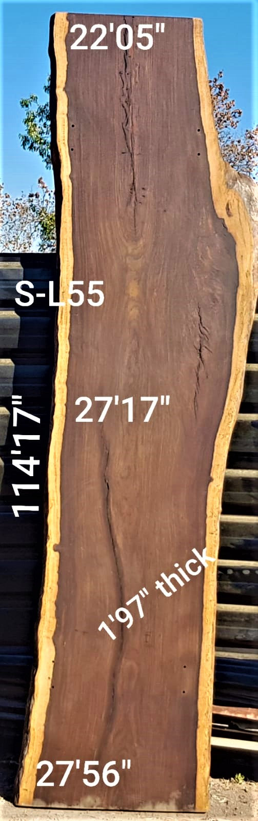 Leadwood Slab (114.17" x 27.56" x 1.97")