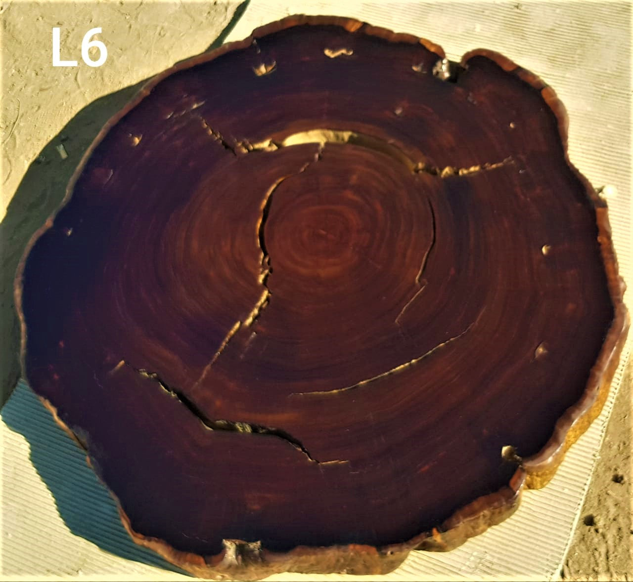 Leadwood Slice (39.37" x 38.19" x 3.15")