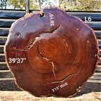Leadwood Slice (39.37" x 38.19" x 3.15")