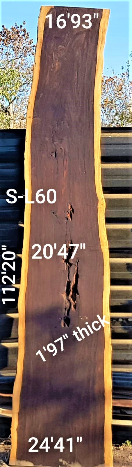 Leadwood Slab (112.20" x 24.41" x 1.97")