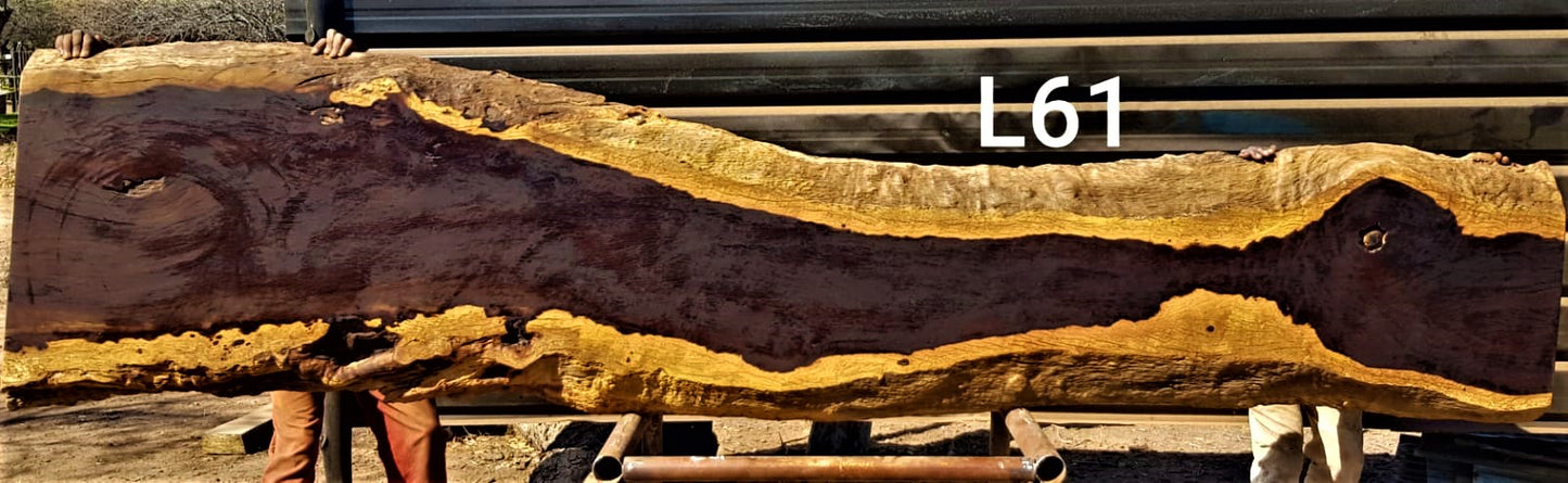 Leadwood Slab (130.71" x 29.53" x 3.15")