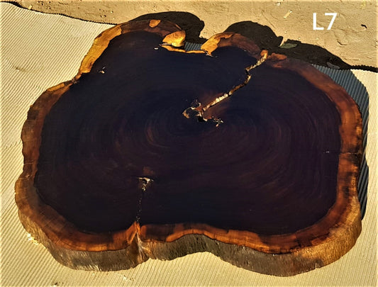 Leadwood Slice (31'50" x 28.74" x 2.76")