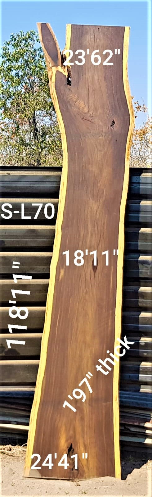 Leadwood Slab (118.11" x 24.41" x 1.97")