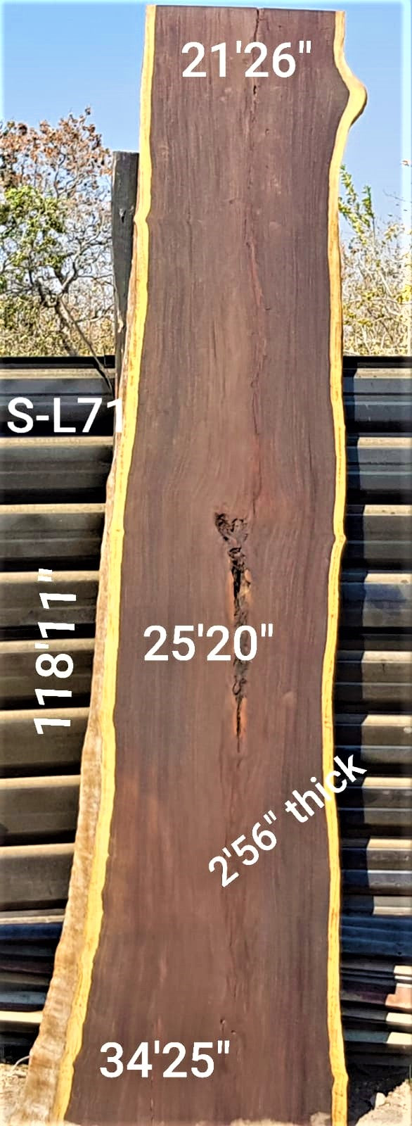 Leadwood Slab (118.11" x 34.25" x 2.56")