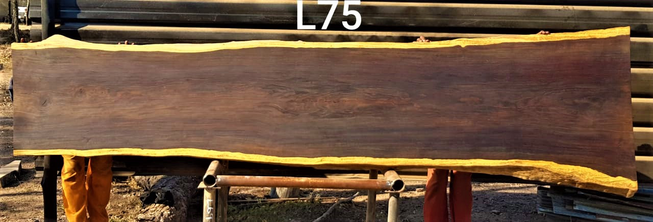 Leadwood Slab (118.11" x 30.71" x 2.56")