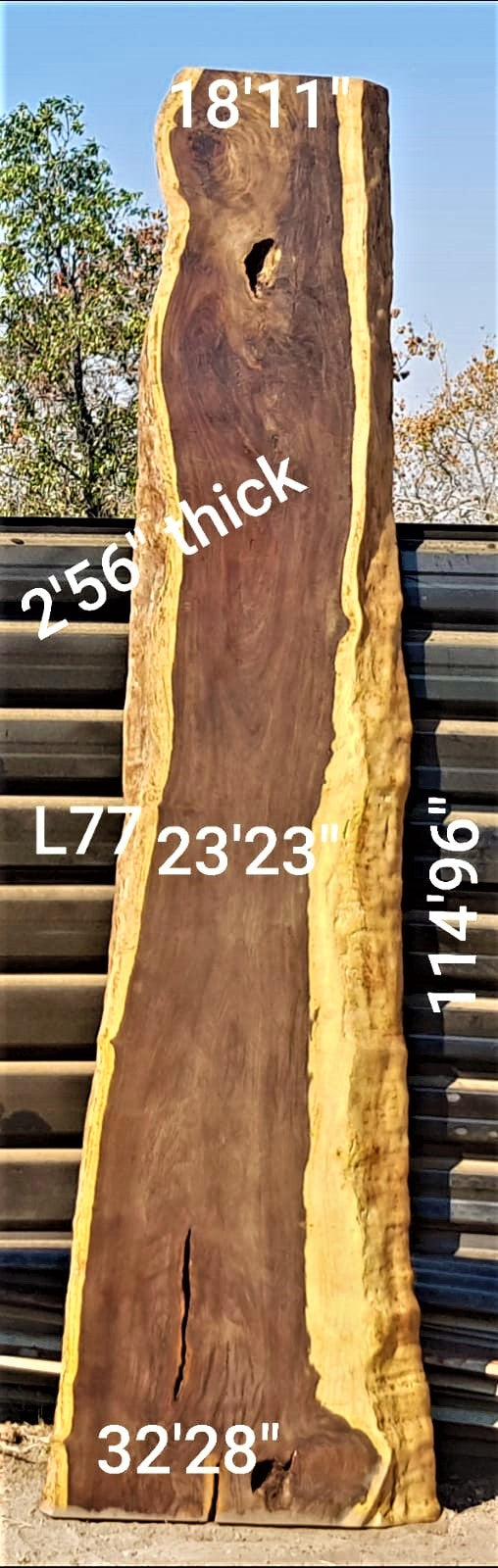 Leadwood Slab (114.96" x 32.28" x 2.56")