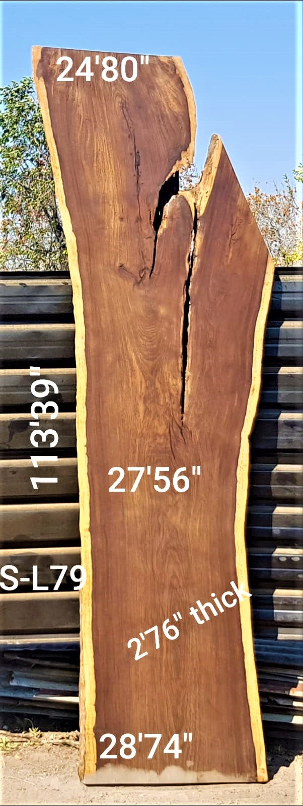 Leadwood Slab (113.39" x 28.74" x 2.76")