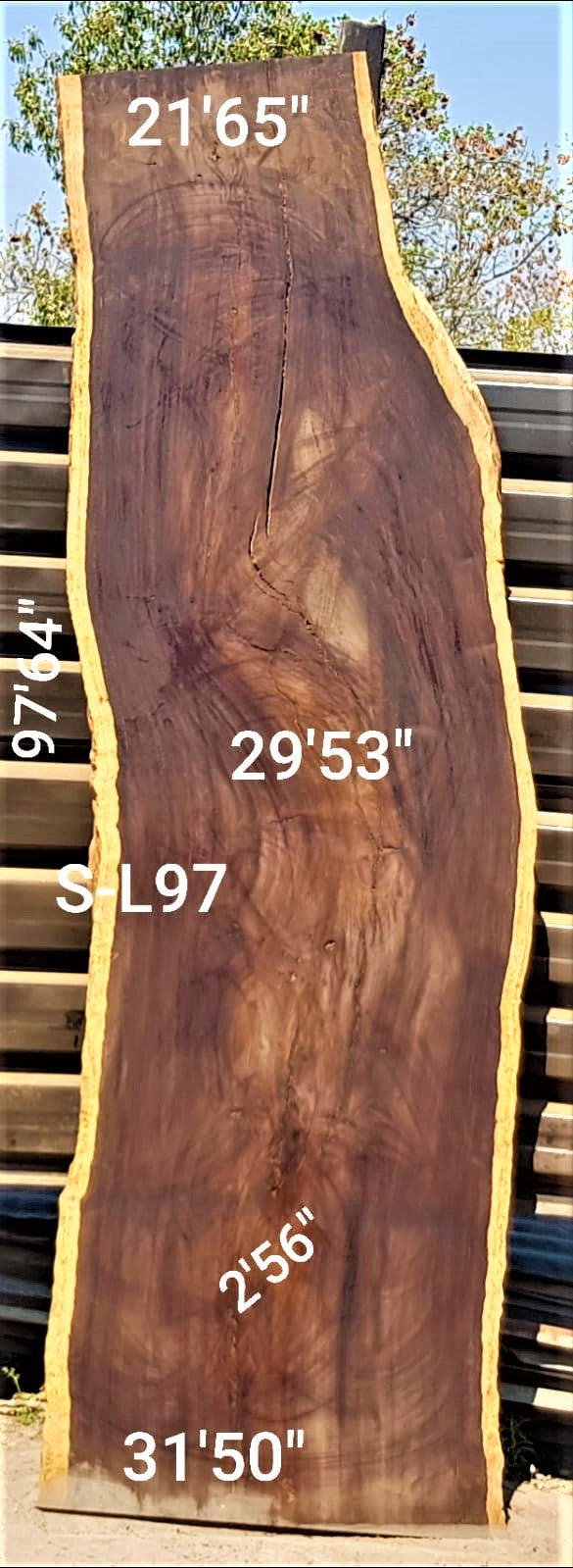 Leadwood Slab (97.64" x 31.50" x 2.56")