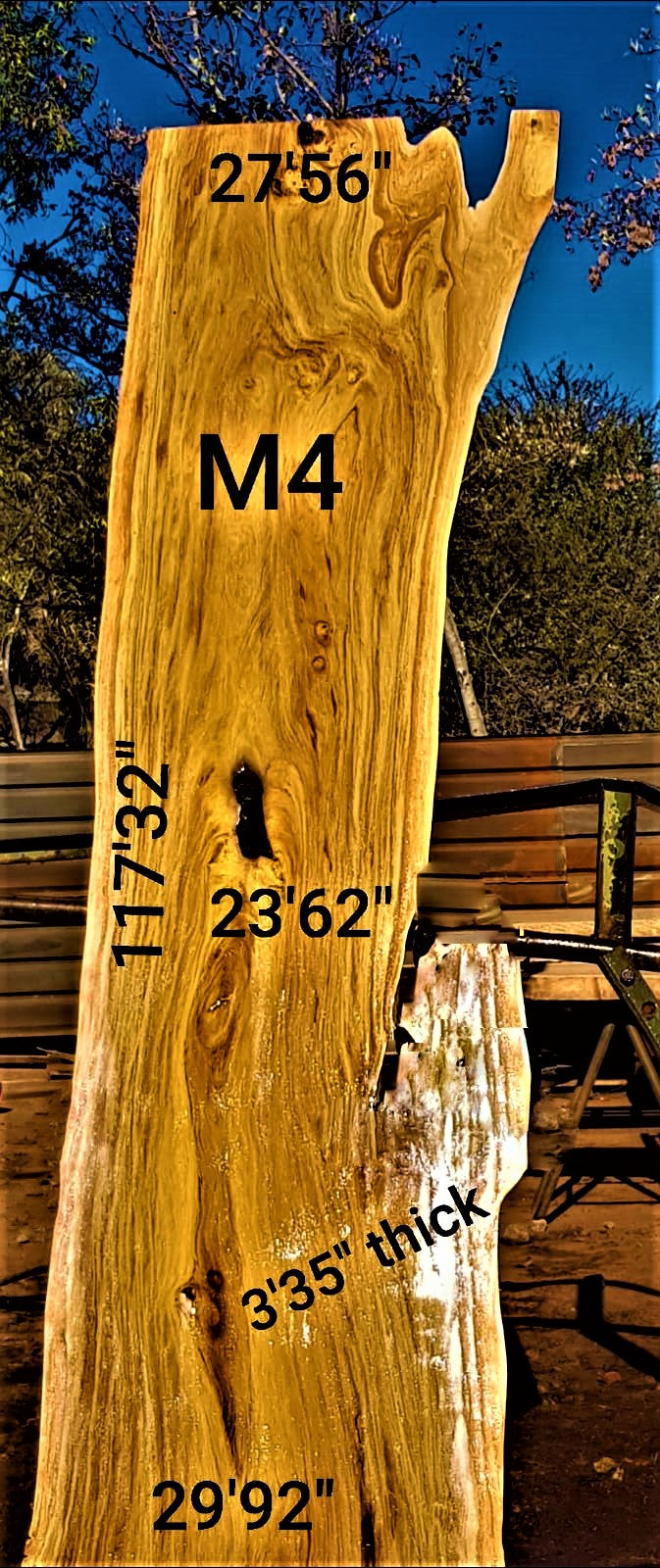 Matumi Slab (117.32" x 29.92" x 3.35")