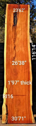Pink Ivory Slab (116.14" x 26.38" x 1.97")