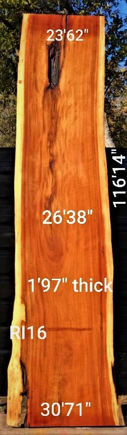 Pink Ivory Slab (116.14" x 26.38" x 1.97")